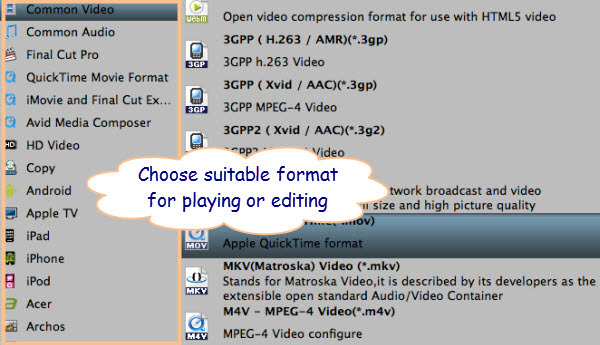 convert mp4 to suitable formats Encode and Play mp4 video files
